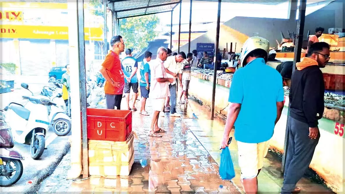 GOA: मार्सेल मछली बाज़ार के विक्रेता बहते हुए अपशिष्ट जल के कारण घाटे से जूझ रहे GOA: मार्सेल मछली बाज़ार के विक्रेता बहते हुए अपशिष्ट जल के कारण घाटे से जूझ रहे