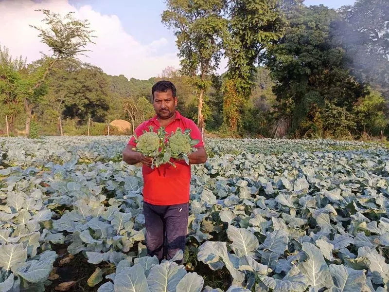 सरकार उधमपुर में विदेशी सब्जियों की खेती पर ध्यान केंद्रित कर रही है: Agri Minister सरकार उधमपुर में विदेशी सब्जियों की खेती पर ध्यान केंद्रित कर रही है: Agri Minister