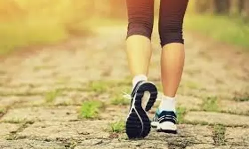 Health: सुबह की ताजी हवा में टहलने से दूर रहती हैं ये बीमारियां, आलस्य छोड़ आज से ही अपनाएं ये हेल्दी आदत