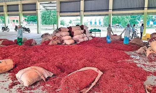 Karnataka: कर्नाटक के लाल मिर्च किसानों की सहायता करें: सीएम सिद्धारमैया