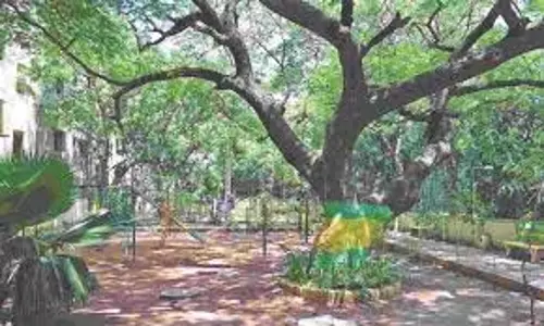 जीसीसी चेन्नई में पार्कों के नवीनीकरण की योजना बना रही