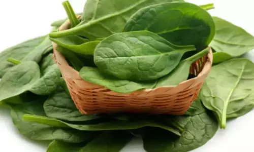 Health Tips : आयरन से भरपूर पालक के हैं अनेकों फायदे जानकर दंग जाएंगे आप