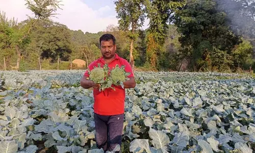 सरकार उधमपुर में विदेशी सब्जियों की खेती पर ध्यान केंद्रित कर रही है: Agri Minister