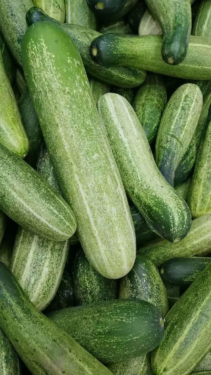 Summer Season : गर्मी में खीरा खाने के फायदे