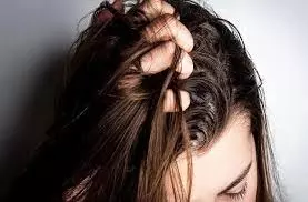 Hair Care: बदलते मौसम में अगर आपके बाल भी चिपचिपे हो रहे हैं तो अपनाएं ये टिप्स Hair Care: बदलते मौसम में अगर आपके बाल भी चिपचिपे हो रहे हैं तो अपनाएं ये टिप्स