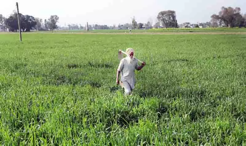 संसदीय समिति ने जैविक उत्पादों के लिए MSP की सिफारिश की संसदीय समिति ने जैविक उत्पादों के लिए MSP की सिफारिश की