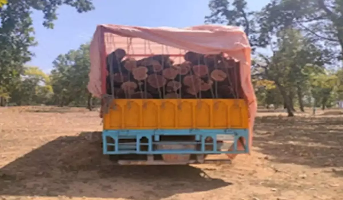 Karnal: अवैध खैर लकड़ी से भरा ट्रक पुलिस ने पकड़ा, आरोपी फरार Karnal: अवैध खैर लकड़ी से भरा ट्रक पुलिस ने पकड़ा, आरोपी फरार