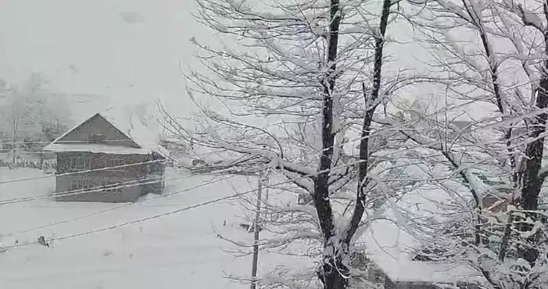 भारी बर्फबारी के कारण अधिकारियों ने Gurez में 15 मार्च तक स्कूल बंद रखने का आदेश दिया भारी बर्फबारी के कारण अधिकारियों ने Gurez में 15 मार्च तक स्कूल बंद रखने का आदेश दिया