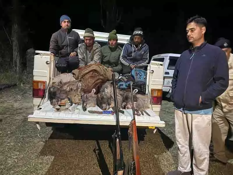 Dhauladhar में पांच शिकारी गिरफ्तार Dhauladhar में पांच शिकारी गिरफ्तार