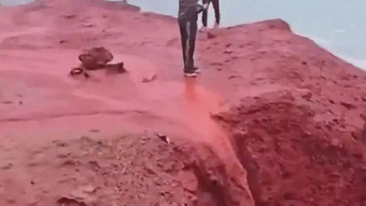 खून की बारिश, लाल हुआ समुद्र का पानी, देखें हैरान करने वाला VIDEO खून की बारिश, लाल हुआ समुद्र का पानी, देखें हैरान करने वाला VIDEO