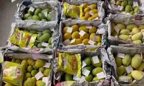 Hyderabad: फल विक्रेताओं ने कार्बाइड का उपयोग करने के खिलाफ चेतावनी दी