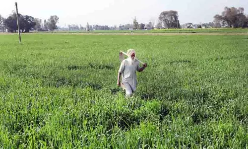 संसदीय समिति ने जैविक उत्पादों के लिए MSP की सिफारिश की