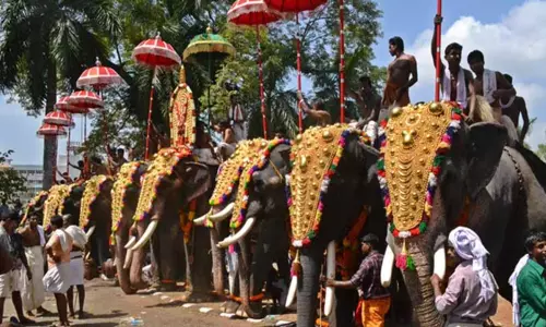 temple जुलूसों में अब हाथी नहीं होंगे, डीजे और नासिक ढोल पर प्रतिबंध संभव