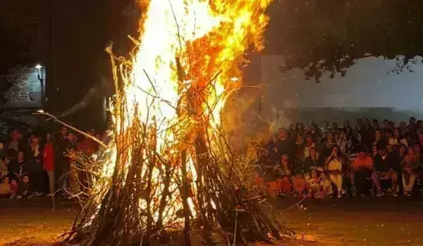 Holika Dahan की आग में न डाले ये चीजें, देखना पड़ेगा दुख