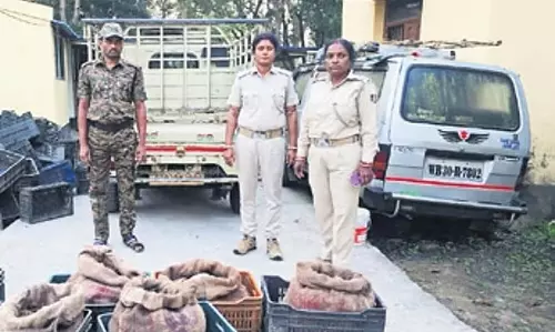 Odisha के बालासोर में पिकअप वैन से 196 नरम खोल वाले कछुए बचाए गए