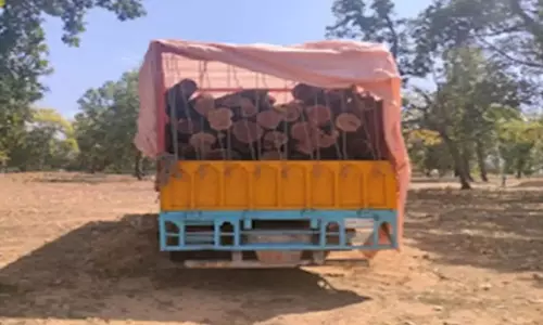 Karnal: अवैध खैर लकड़ी से भरा ट्रक  पुलिस ने पकड़ा, आरोपी फरार