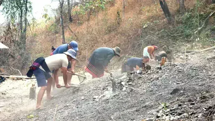 Nagaland : 100 से अधिक किसान बाजरा की बुवाई में जुटे Nagaland : 100 से अधिक किसान बाजरा की बुवाई में जुटे