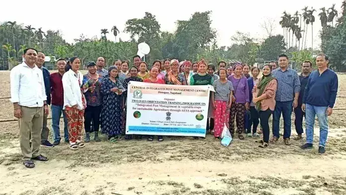 Nagaland :  सब्जी की खेती में आईपीएम पर प्रशिक्षण