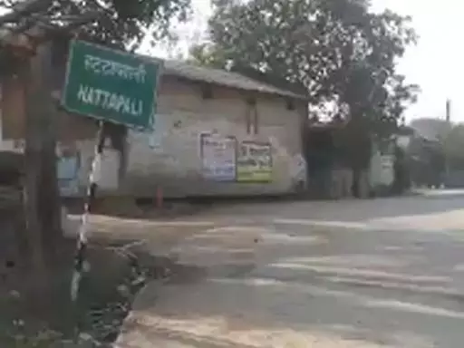 बाघ ने होली फीका किया, घर से नहीं निकलते ग्रामीण बाघ ने होली फीका किया, घर से नहीं निकलते ग्रामीण