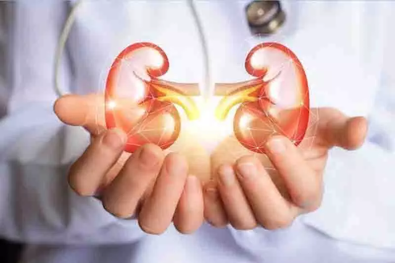 Chandigarh: विशेषज्ञों ने किडनी रोग के बारे में जागरूकता फैलाने की आवश्यकता पर बल दिया Chandigarh: विशेषज्ञों ने किडनी रोग के बारे में जागरूकता फैलाने की आवश्यकता पर बल दिया