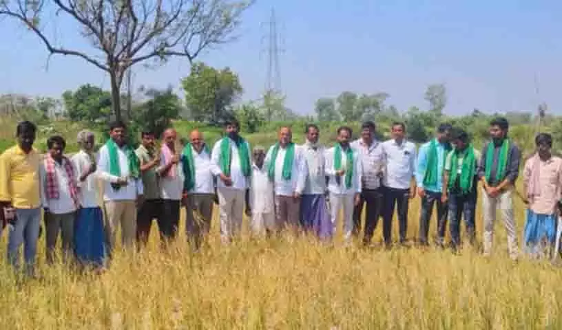 फसल नुकसान पर चिंता जताते हुए Telangana में किसान सड़कों पर उतरे फसल नुकसान पर चिंता जताते हुए Telangana में किसान सड़कों पर उतरे