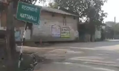 बाघ ने होली फीका किया, घर से नहीं निकलते ग्रामीण बाघ ने होली फीका किया, घर से नहीं निकलते ग्रामीण