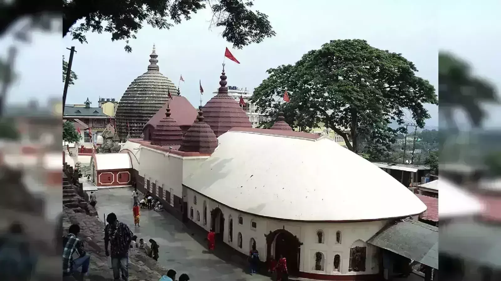 Kamakhya मंदिर में प्रसाद में मिलती है ऐसी चीज जिसके बारे में जानकर चौंक जाएंगे आप Kamakhya मंदिर में प्रसाद में मिलती है ऐसी चीज जिसके बारे में जानकर चौंक जाएंगे आप