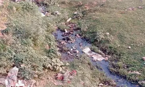 Jammu: पर्यावरण को नुकसान पहुंचाने के कारण 656 औद्योगिक इकाइयां बंद