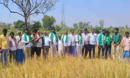 फसल नुकसान पर चिंता जताते हुए Telangana में किसान सड़कों पर उतरे फसल नुकसान पर चिंता जताते हुए Telangana में किसान सड़कों पर उतरे