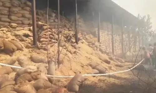 महासमुंद में आगजनी की बड़ी घटना, राइस मिल चपेट में