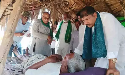 Telangana में आदिवासी कम उपज वाले मक्का के बीजों से परेशान