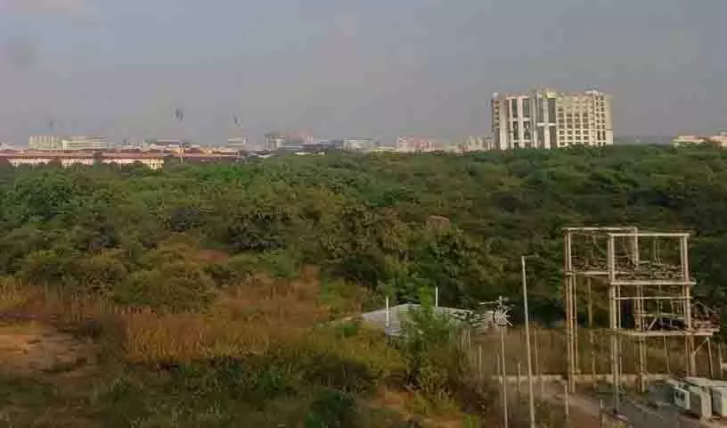 Telangana सरकार से गाचीबोवली में ‘कांचा शहरी जंगल’ की नीलामी वापस लेने की मांग की Telangana सरकार से गाचीबोवली में ‘कांचा शहरी जंगल’ की नीलामी वापस लेने की मांग की