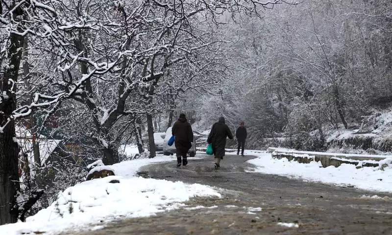 Kashmir घाटी के कुछ हिस्सों में ताजा बर्फबारी हुई Kashmir घाटी के कुछ हिस्सों में ताजा बर्फबारी हुई