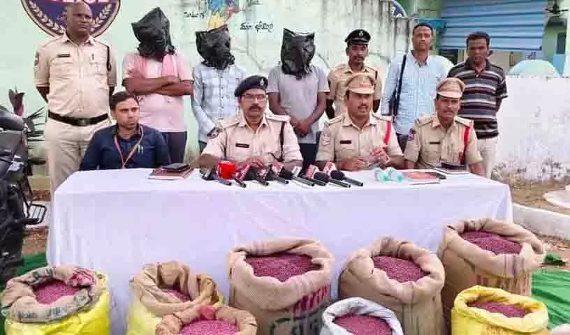 Mancherial नकली कपास बीज तस्करी का केंद्र बन गया Mancherial नकली कपास बीज तस्करी का केंद्र बन गया