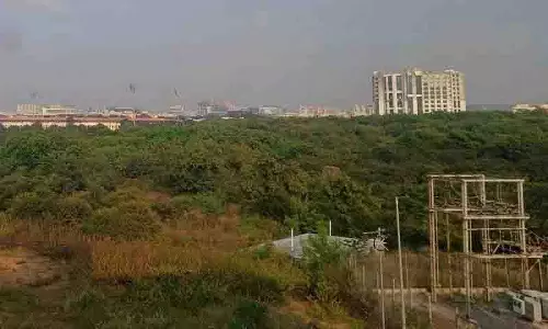 Telangana सरकार से गाचीबोवली में ‘कांचा शहरी जंगल’ की नीलामी वापस लेने की मांग की