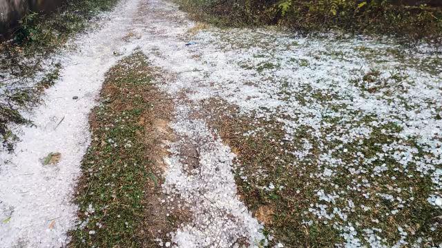 Weather: बहरोड़ व बानसूर में ओलावृष्टि, बारिश का अलर्ट