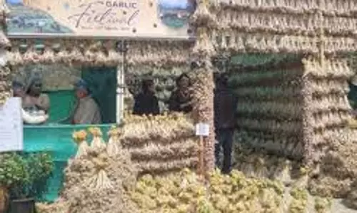 Nagaland :  वित्त विभाग ने लेन-देन दिवस घोषित किए