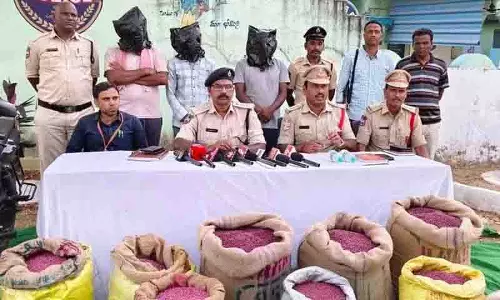 Mancherial नकली कपास बीज तस्करी का केंद्र बन गया