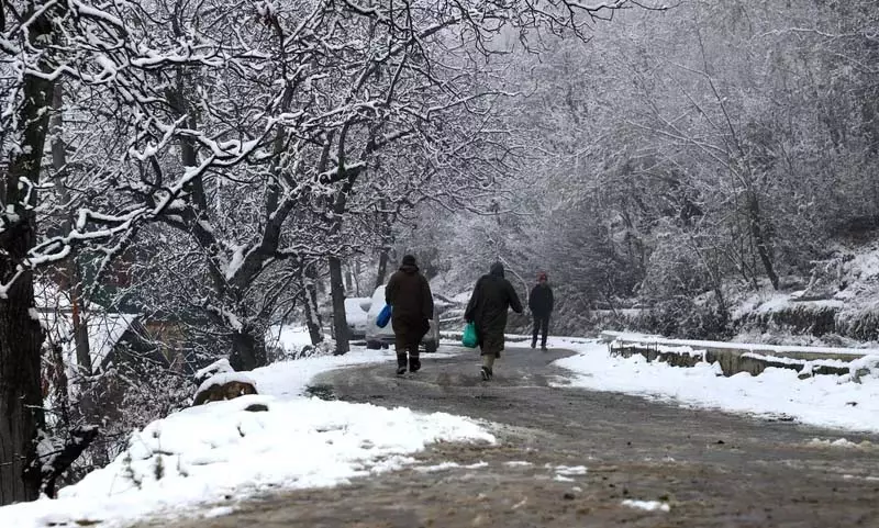 Kashmir घाटी के कुछ हिस्सों में ताजा बर्फबारी हुई Kashmir घाटी के कुछ हिस्सों में ताजा बर्फबारी हुई