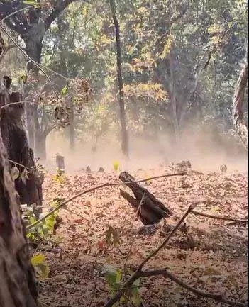 गढ़चिरौली : पुलिस ने माओवादी हमले की कोशिश को किया नाकाम, विस्फोटक सामग्री बरामद गढ़चिरौली : पुलिस ने माओवादी हमले की कोशिश को किया नाकाम, विस्फोटक सामग्री बरामद