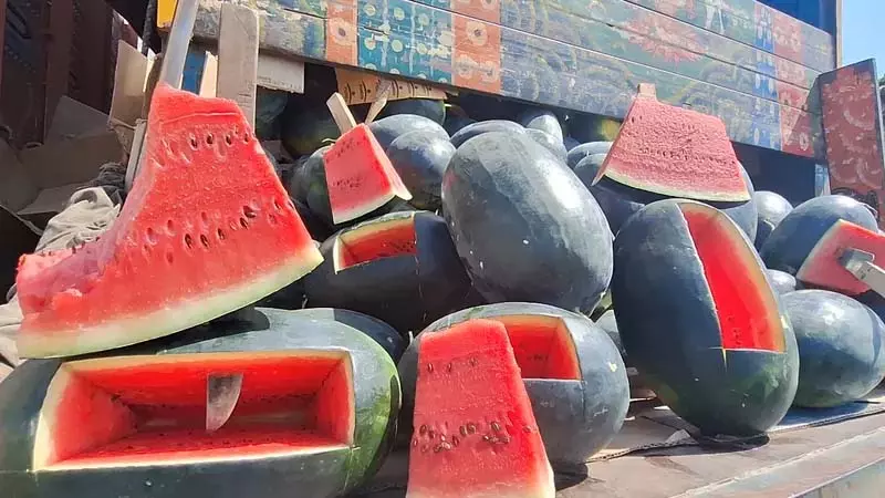 Srinagar ठंड ने रमजान में तरबूज के बाजार को तहस-नहस कर दिया Srinagar ठंड ने रमजान में तरबूज के बाजार को तहस-नहस कर दिया