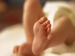 MP News: सरकारी अस्पताल में नवजात के शव को नोच रहे कुत्ते, मचा हड़कंप MP News: सरकारी अस्पताल में नवजात के शव को नोच रहे कुत्ते, मचा हड़कंप