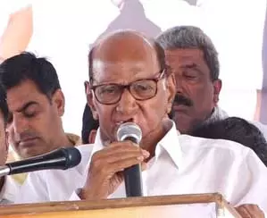 कानून को हाथ में लेने वालों के खिलाफ महाराष्ट्र सरकार करे कार्रवाई : शरद पवार कानून को हाथ में लेने वालों के खिलाफ महाराष्ट्र सरकार करे कार्रवाई : शरद पवार