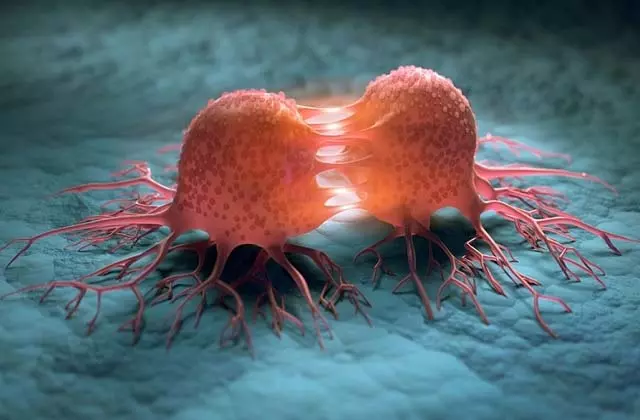 Cancer : कैंसर पर बड़ा खुलासा Cancer : कैंसर पर बड़ा खुलासा