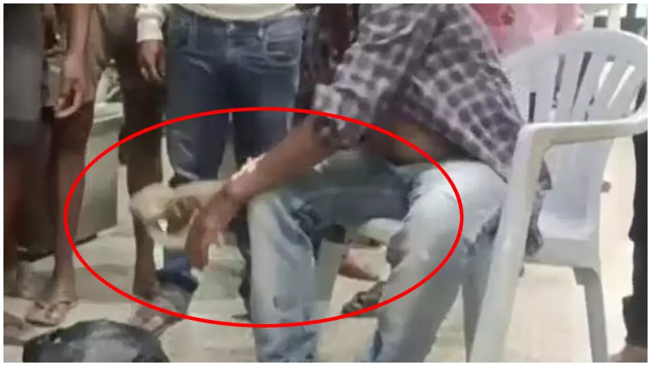 खतरनाक कोबरा सांप ने तीन-चार बार डसा, इसके बाद जो हुआ किसी ने नहीं की थी कल्पना खतरनाक कोबरा सांप ने तीन-चार बार डसा, इसके बाद जो हुआ किसी ने नहीं की थी कल्पना