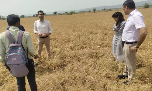 Jaipur: जिला कलेक्टर के निर्देश पर राजस्व अधिकारियों ने किया प्रभावित इलाकों का दौरा