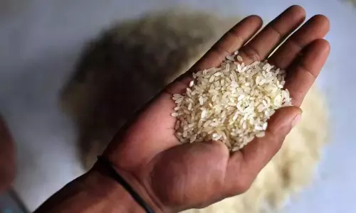 Kerala: नीले और सफेद राशन कार्ड धारकों के लिए चावल की कीमतें बढ़ाने का प्रस्ताव Kerala: नीले और सफेद राशन कार्ड धारकों के लिए चावल की कीमतें बढ़ाने का प्रस्ताव