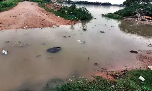 Hyderabad: अव्यवस्थित सरूरनगर झील स्वास्थ्य के लिए बड़ा खतरा बनी Hyderabad: अव्यवस्थित सरूरनगर झील स्वास्थ्य के लिए बड़ा खतरा बनी