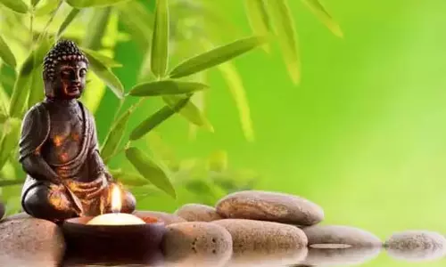 घर की खुशहाली के लिए Feng Shui के 5 आसान उपाय