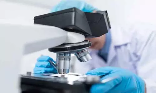 नया एंटीबॉडी उपचार-प्रतिरोधी स्तन, डिम्बग्रंथि के कैंसर में ट्यूमर को कम करता है- Study नया एंटीबॉडी उपचार-प्रतिरोधी स्तन, डिम्बग्रंथि के कैंसर में ट्यूमर को कम करता है- Study